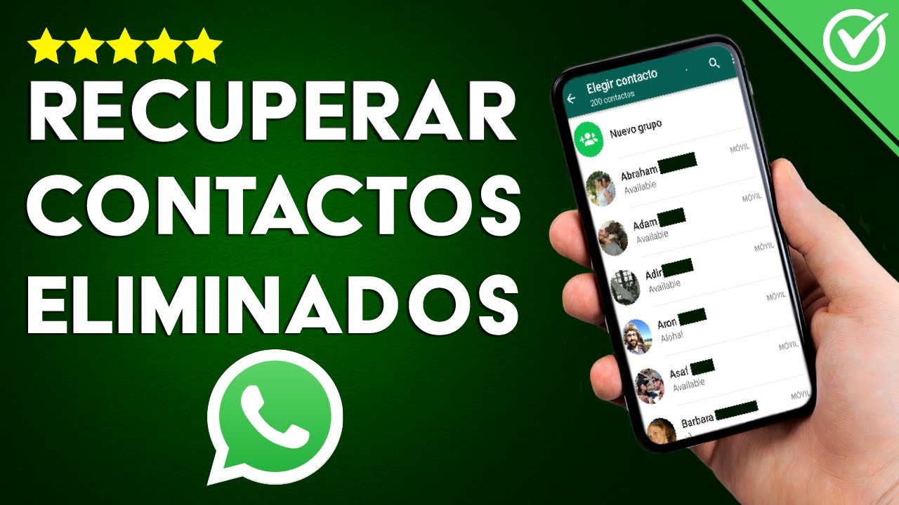 Consejos para aumentar la visibilidad de tu contacto eliminado en WhatsApp